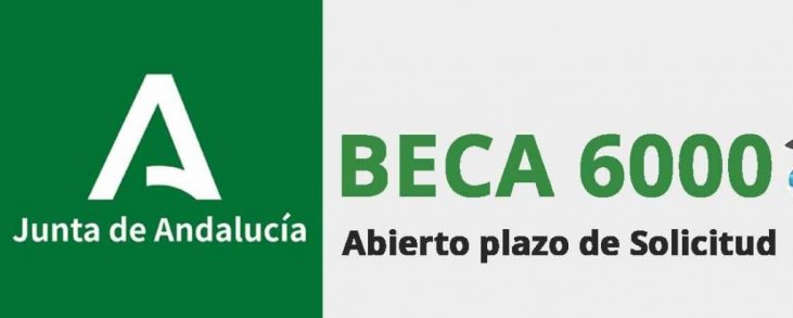 BECA 6000 – Consejería de Educativo y Formación Profesional - SAFA Écija - Fundación Peñaflor